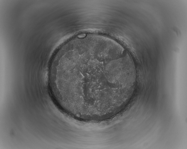 X0000110870016200907021446