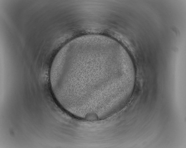 X0000110870017200907021446