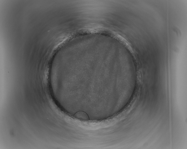 X0000110870018200907021446