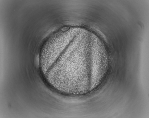 X0000110870020200907021446