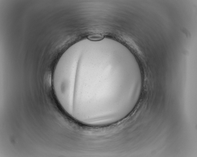 X0000110870021200907021446