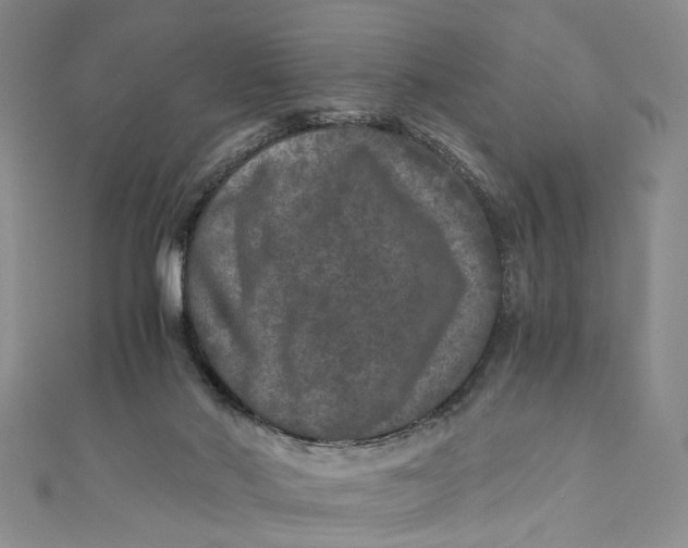 X0000110870022200907021446