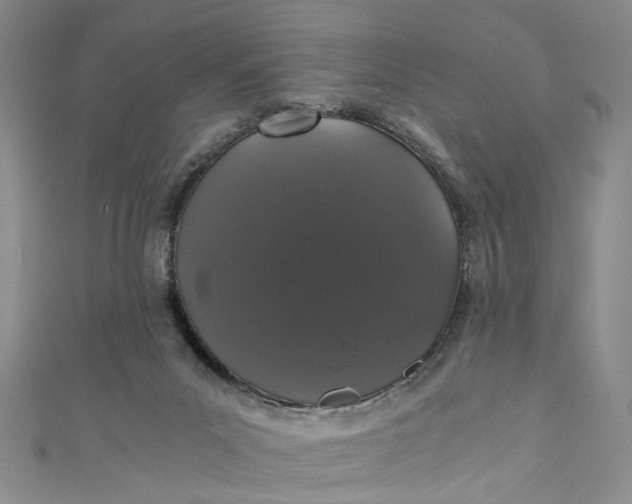 X0000110870023200907021446