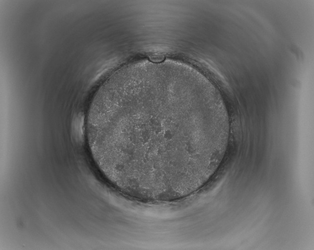 X0000110870024200907021446