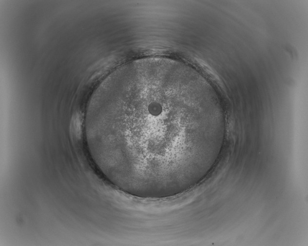 X0000110870026200907021446