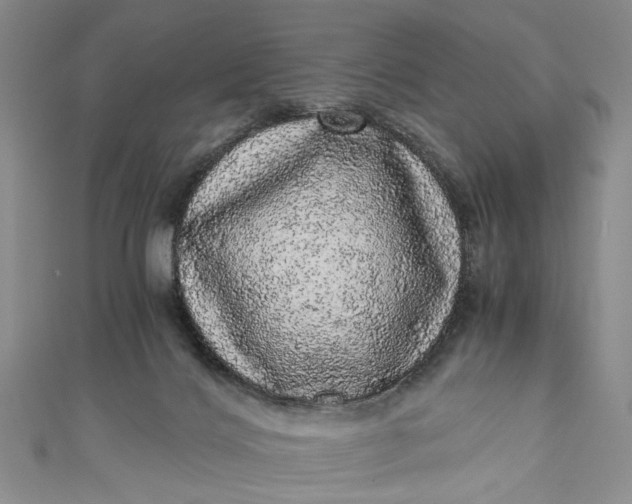 X0000110870028200907021446