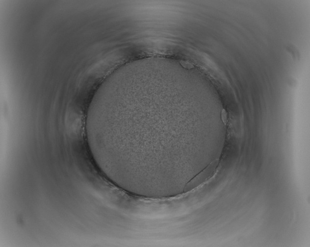 X0000110870029200907021446