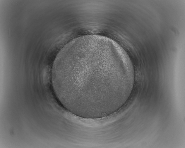 X0000110870030200907021446