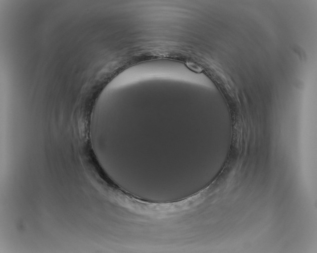 X0000110870031200907021446