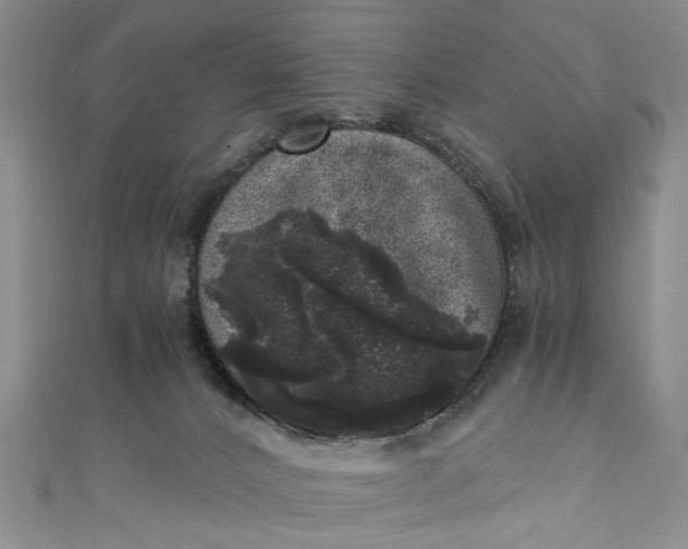 X0000110870032200907021446