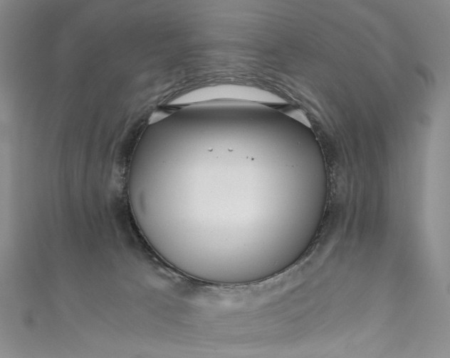 X0000110870033200907021446