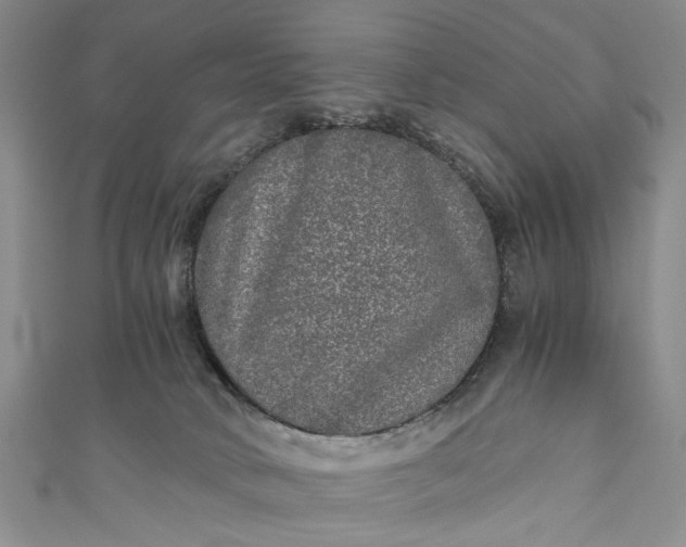 X0000110870034200907021446