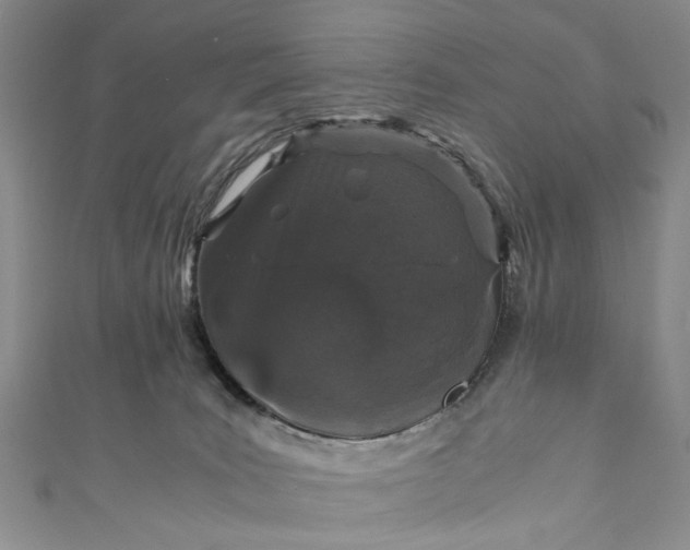 X0000110870035200907021446