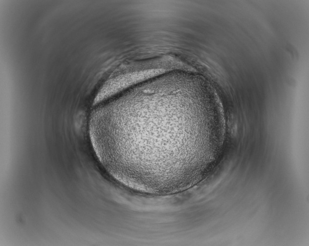 X0000110870036200907021446