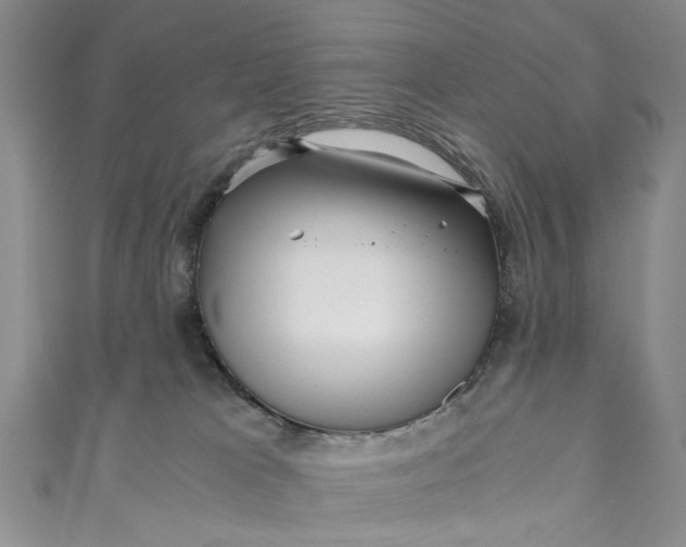 X0000110870037200907021446