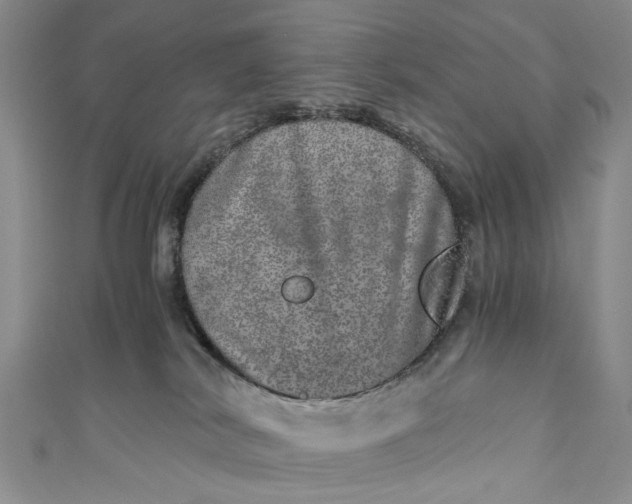 X0000110870038200907021445