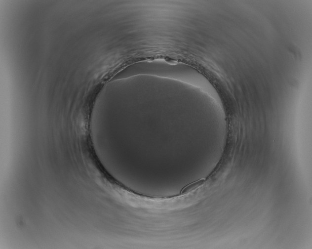 X0000110870039200907021445