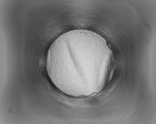 X0000110870040200907021445