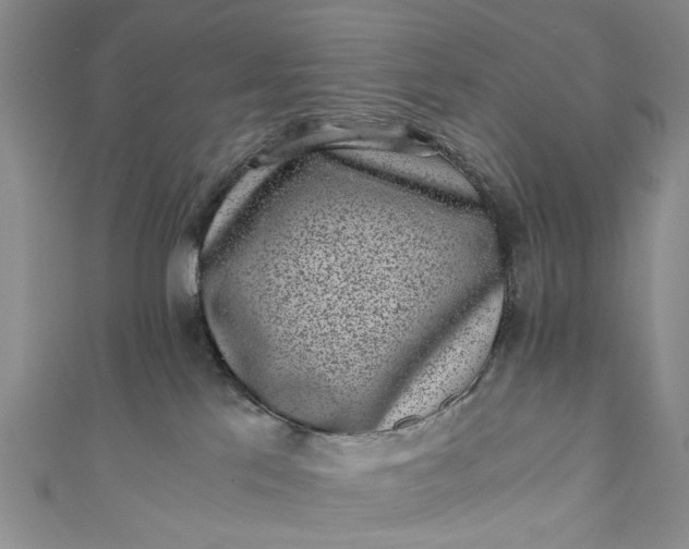 X0000110870041200907021445