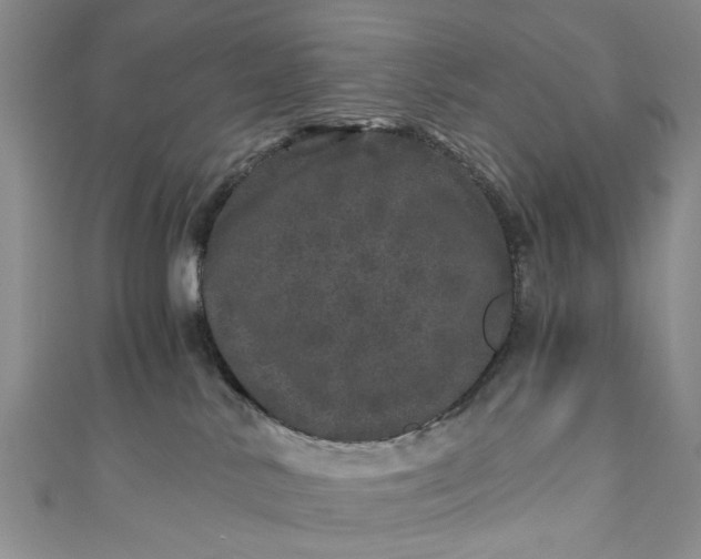 X0000110870042200907021445