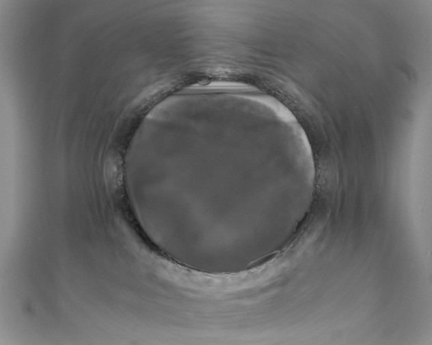 X0000110870043200907021445