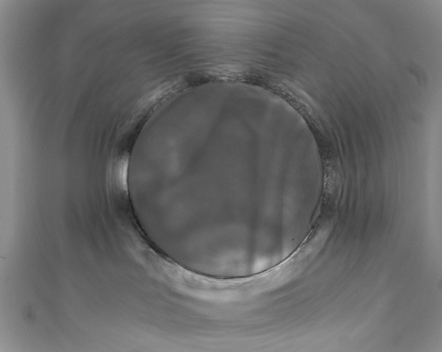 X0000110870047200907021445