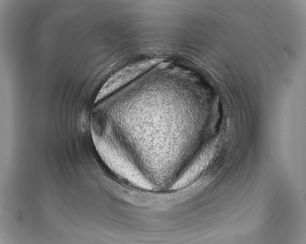 X0000110870048200907021445