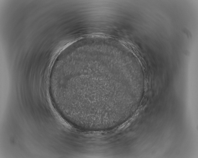 X0000110870049200907021445