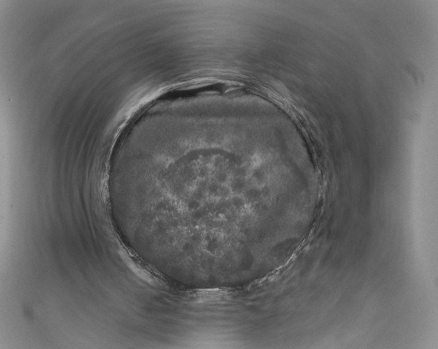 X0000110870050200907021445