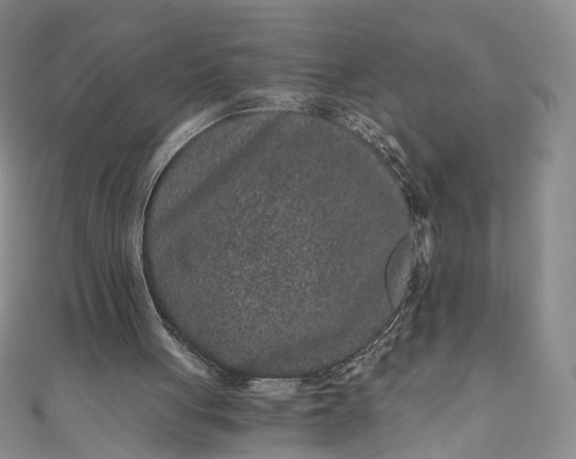 X0000110870051200907021445