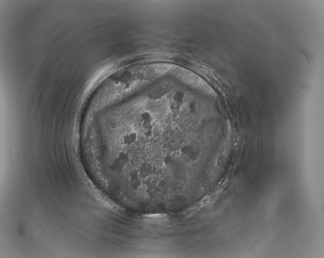 X0000110870053200907021445