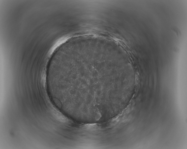 X0000110870054200907021445