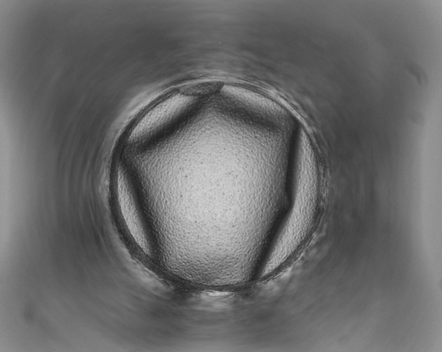 X0000110870055200907021445