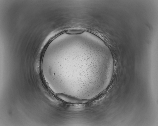 X0000110870056200907021445