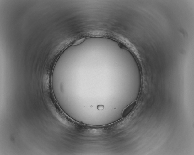 X0000110870057200907021445