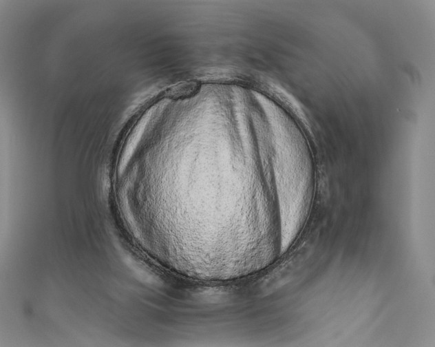 X0000110870059200907021445