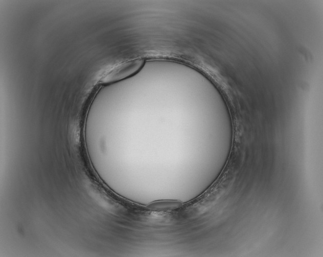 X0000110870060200907021445