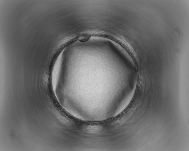 X0000110870063200907021445