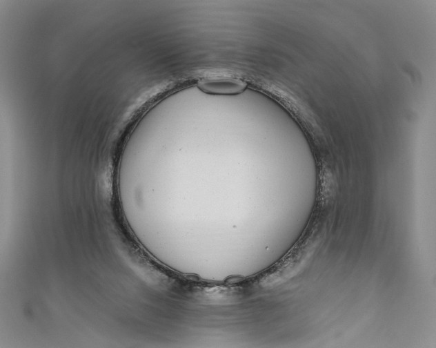 X0000110870064200907021445