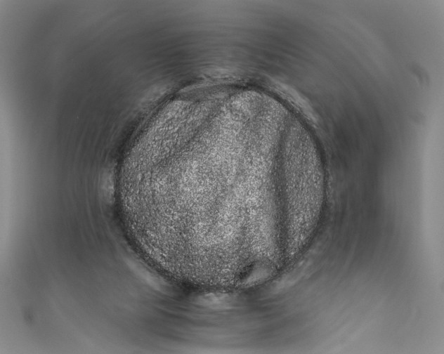 X0000110870065200907021445