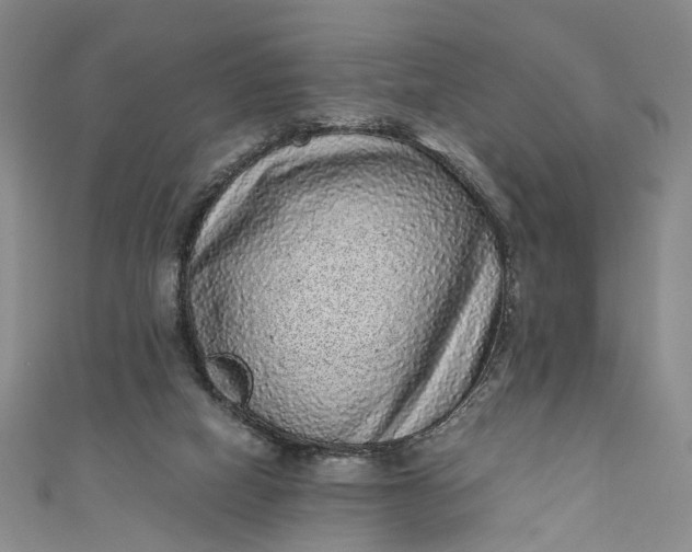 X0000110870066200907021445