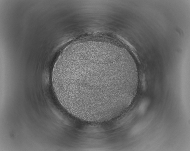 X0000110870067200907021445