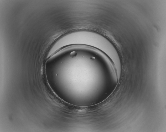 X0000110870068200907021445