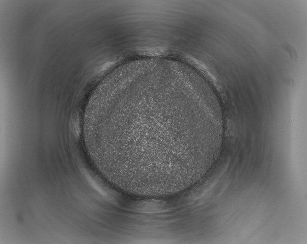 X0000110870069200907021445