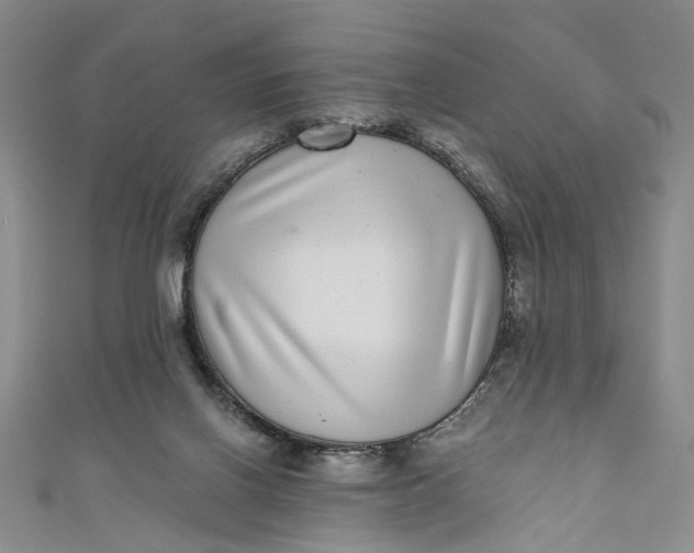 X0000110870070200907021445