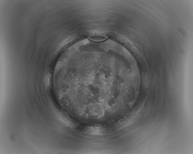 X0000110870071200907021445