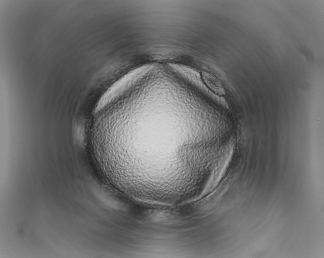 X0000110870074200907021445