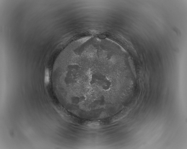 X0000110870075200907021445