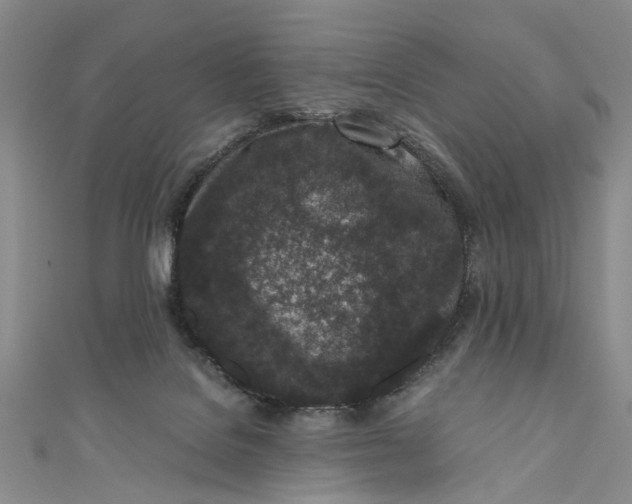 X0000110870076200907021445