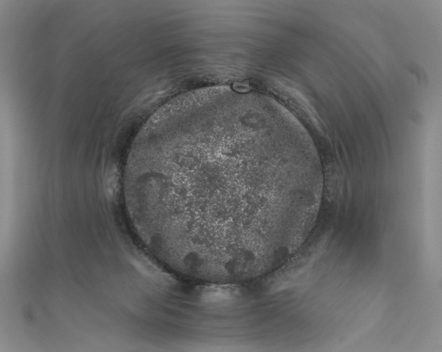 X0000110870077200907021445